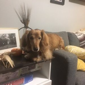 Meet your Posher, Eric